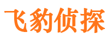 江北区找人公司